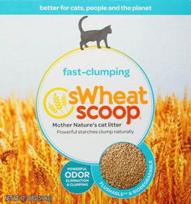 sWheat Scoop Cat Litter Natural Fast Clumping Original Box - 12.3 Lb - Image 2
