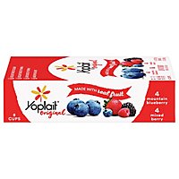 Yoplait Blueberry Mixed Berry Lf Yogurt Fridge Pack - 8-6 Oz - Image 2