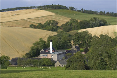 The GlenDronach Original Aged 12 Years Single Malt Scotch Whisky 86 Proof In Bottle - 750 Ml - Image 2
