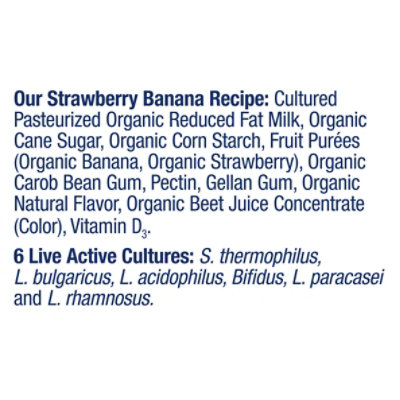 Stonyfield Organic Ykids Strawberry Banana - 16 Oz - Image 4