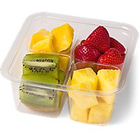 Tropical Fruit Tray - 12 Oz - Image 1