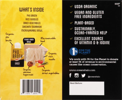 Oceans Ha Noodle Pho Bowl - 10 Oz - Image 6
