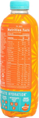 ROAR Organic Electrolyte Infusions Mango Clementine - 18 Fl. Oz. - Image 6