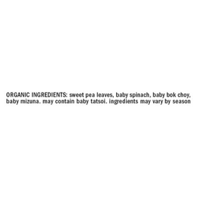 organicgirl Protein Greens - 4.2 Oz. - Image 4