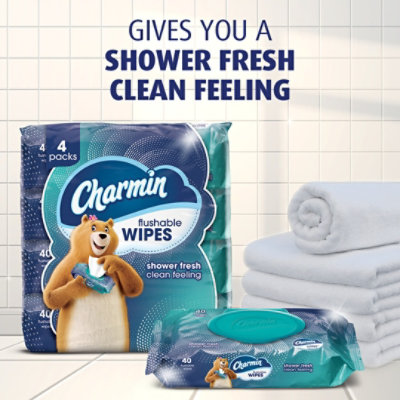 Charmin Flushable Wipes 2 Packs - 80 Count - Image 3