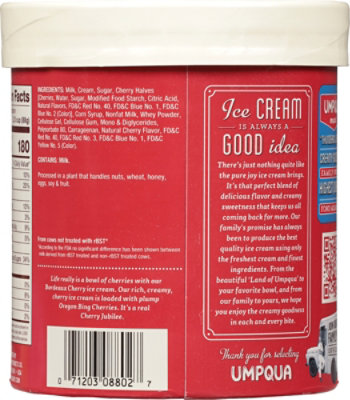 Umpqua Ice Cream Bordeaux Cherry - 1.5 Quart - Image 6