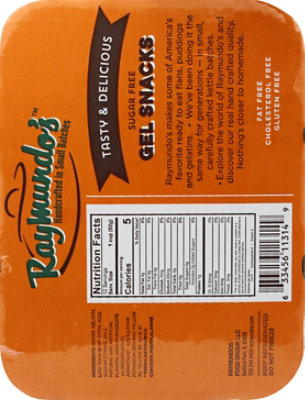 Raymundos Sugar Free Assorted Gel - 12-3.25 Oz - Image 6