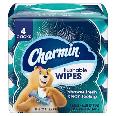 Charmin Flushable Wipes 4 Packs - 160 Count - Image 7