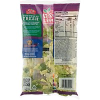 Fresh Express Salad Chopped Caesar Kit - 10.4 Oz - Image 6