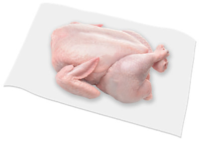 Jidori Down Whole Chicken - 3.25 Lb - Image 1