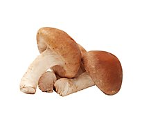 Shiitake Mushroom - 8 Oz