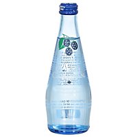 Clearly Canadian Water Sprklng Mntn Blkbry - 11 Oz - Image 3