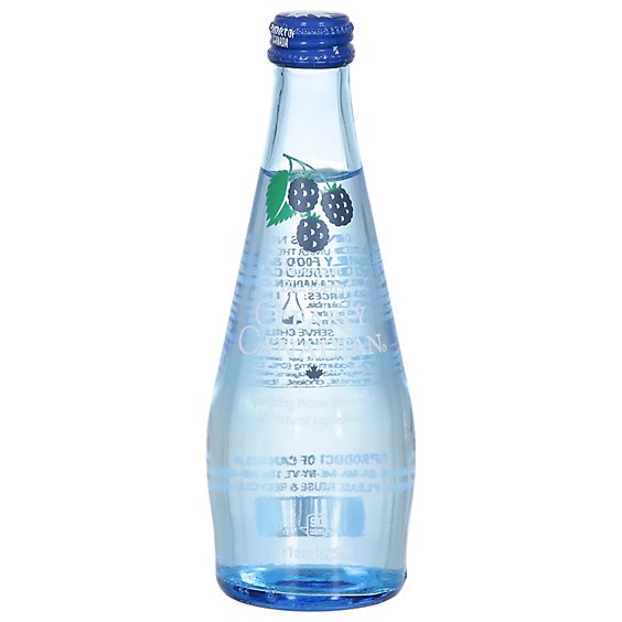 Clearly Canadian Water Sprklng Mntn Blkbry - 11 Oz