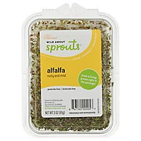 Wild About Sprouts Amazing Alfalfa - 3 Oz - Image 3