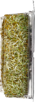Wild About Sprouts Amazing Alfalfa - 3 Oz - Image 3