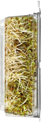Wild About Sprouts Crispy Clover And Alfalfa - 3 Oz - Image 2