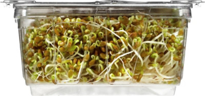 Wild About Sprouts Crispy Clover And Alfalfa - 3 Oz - Image 5