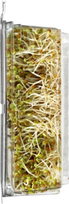 Wild About Sprouts Crispy Clover And Alfalfa - 3 Oz - Image 3