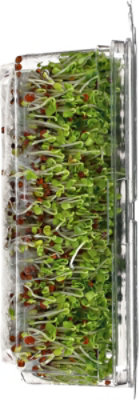 Wild About Sprouts Bold Broccoli - 3 Oz - Image 2