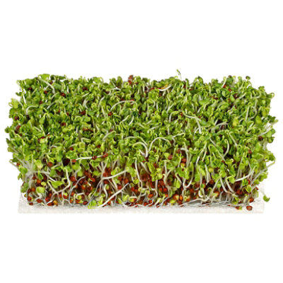 Wild About Sprouts Bold Broccoli - 3 Oz - Image 5
