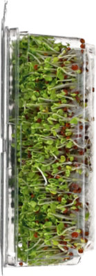 Wild About Sprouts Bold Broccoli - 3 Oz - Image 3