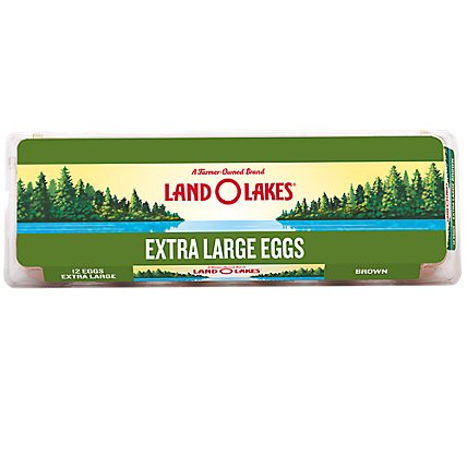 Land O Lakes Eggs Brown Extra Large - 12 Count - Image 1