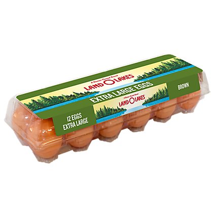 Land O Lakes Eggs Brown Extra Large - 12 Count - Image 3