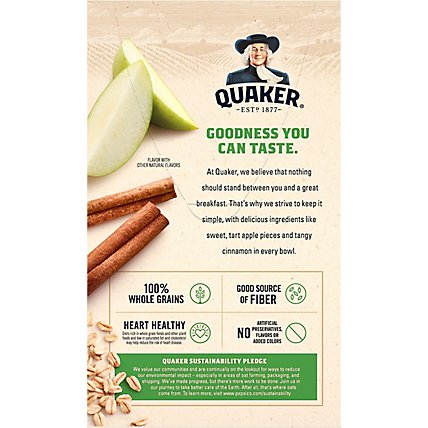 Quaker Instant Oatmeal Apple And Cinnamon - 12.1 Oz - Image 6