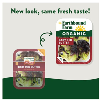 Earthbound Farm Organic Baby Red Butter Tray - 5 Oz - Image 2