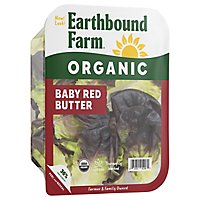 Earthbound Farm Organic Baby Red Butter Tray - 5 Oz - Image 2