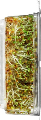 Wild About Sprouts Crunchy Clover - 3 Oz - Image 2