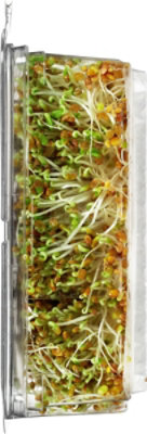 Wild About Sprouts Crunchy Clover - 3 Oz - Image 3