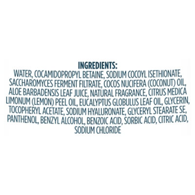 Kirks Natural Lemon & Eucalyptus Hand Soap - 12 Fl. Oz. - Image 3