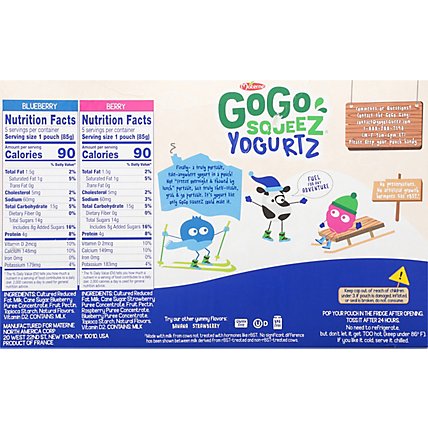 GoGo squeeZ YogurtZ, Variety Pack Blueberry Berry - 10 - 3 Oz - Image 6