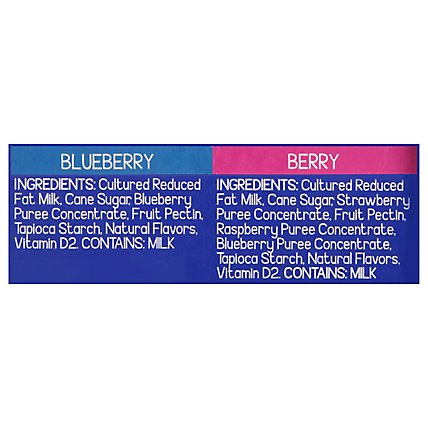 GoGo squeeZ YogurtZ, Variety Pack Blueberry Berry - 10 - 3 Oz - Image 5