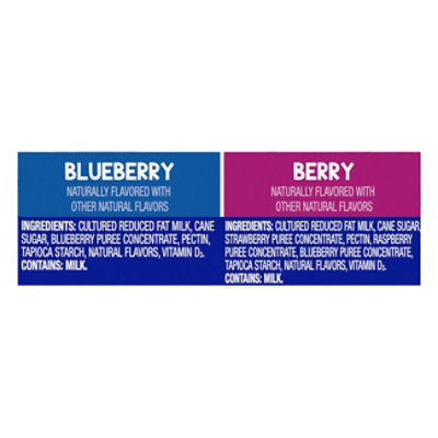 GoGo squeeZ YogurtZ, Variety Pack Blueberry Berry - 10 - 3 Oz - Image 5