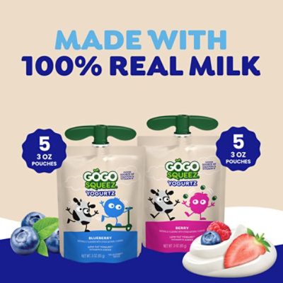 GoGo squeeZ YogurtZ, Variety Pack Blueberry Berry - 10 - 3 Oz - Image 3