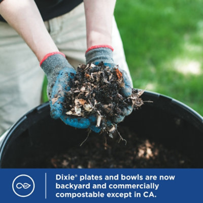 Dixie Everyday Paper Bowls Microwavable 10 Oz - 72 Count - Image 5