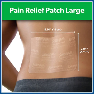 Salonpas Pain Relief Patch Large - 9 Count - Image 2