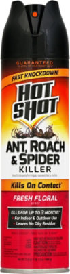 Hs Ff Roach And Ant Germ Killer - Each - Image 2