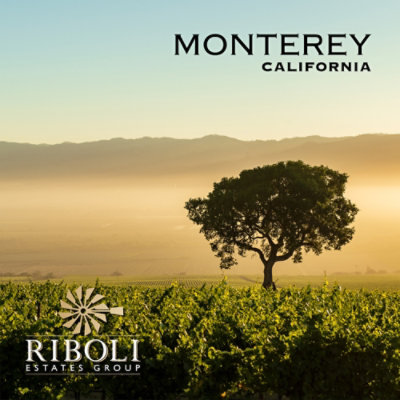 San Simeon Wine Pinot Noir Monterey - 750 Ml - Image 2