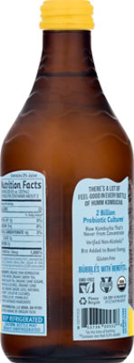 Humm Kombucha Organic Ginger Juniper - 14 Fl. Oz. - Image 6