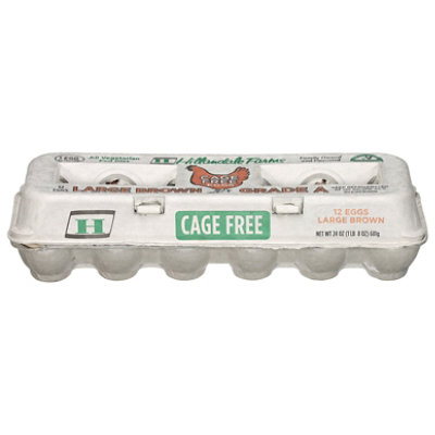 Hillandale Large Brown Cage Free Eggs - 12 CT - Image 1
