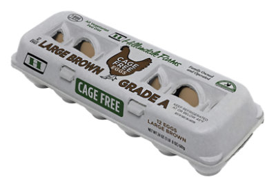 Hillandale Large Brown Cage Free Eggs - 12 CT - Image 1