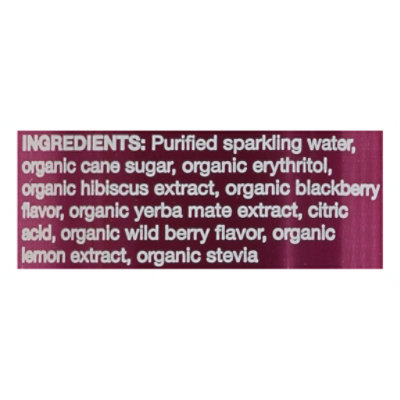 CLEAN Cause Sparkling Yerba Mate Blackberry - 16 Fl. Oz. - Image 5