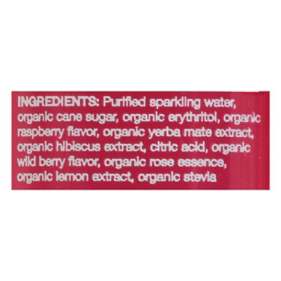 CLEAN Cause Sparkling Yerba Mate Raspberry - 16 Fl. Oz. - Image 5