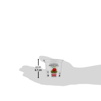 Maple Hill Creamery Yogurt Organic Whole Milk Strawberry - 5.3 Oz - Image 5