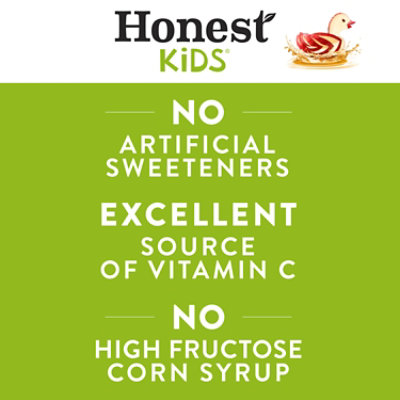 Honest Kids Apple Cartons - 48 Fl. Oz. - Image 2