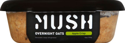 Apple - 【Mush】 MUSH Apple Cinnamon Ready to Eat Gluten Free Vegan Oats