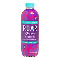 ROAR Organic Electrolyte Infusions Blueberry Acai - 18 Fl. Oz. - Image 3
